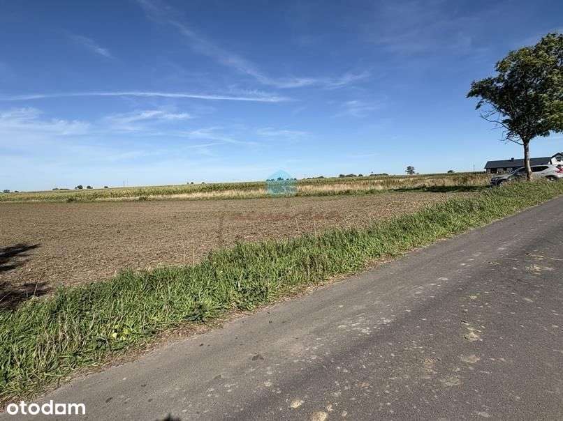 Grunt pod inwestycje Owieczki gm. Łubowo-3