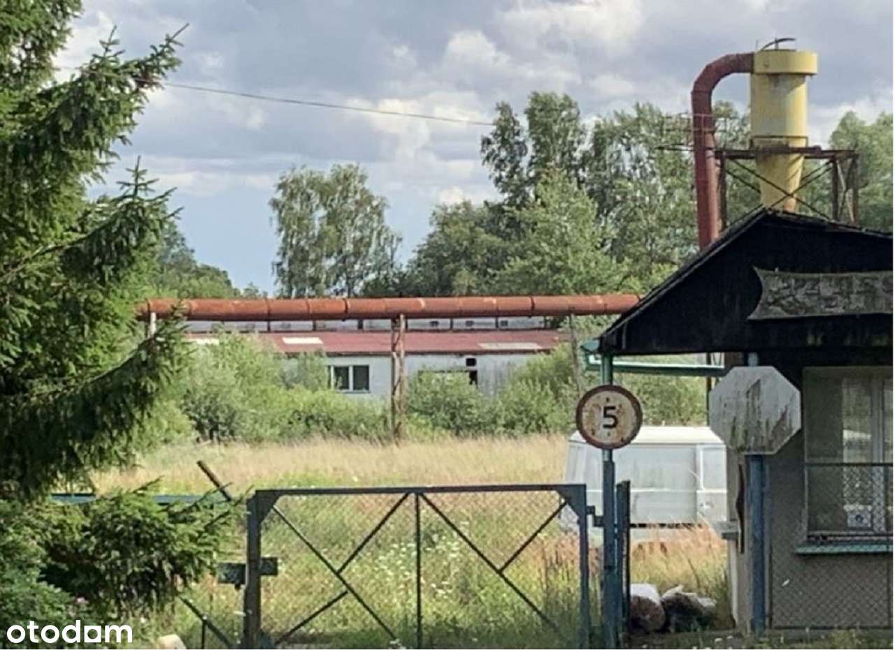 Działki 43365 m2 z budynkami gospodarczymi i administrac LICYTACJA - Pełny obrazek: 5/6