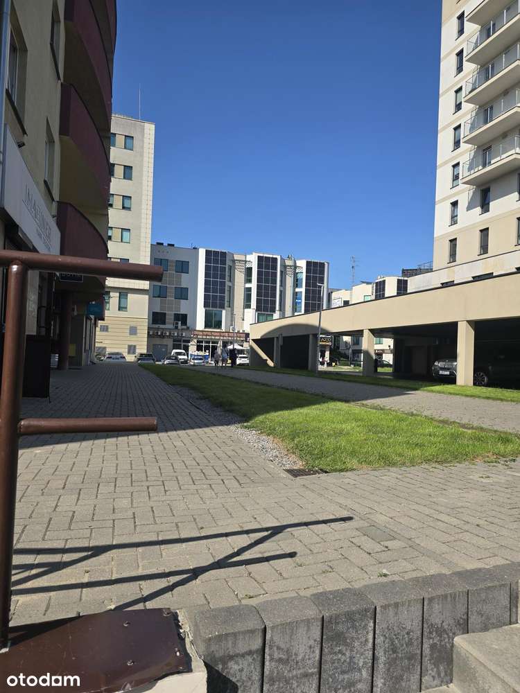 Wynajmę plac 150 m2 LSM - Pełny obrazek: 5/5
