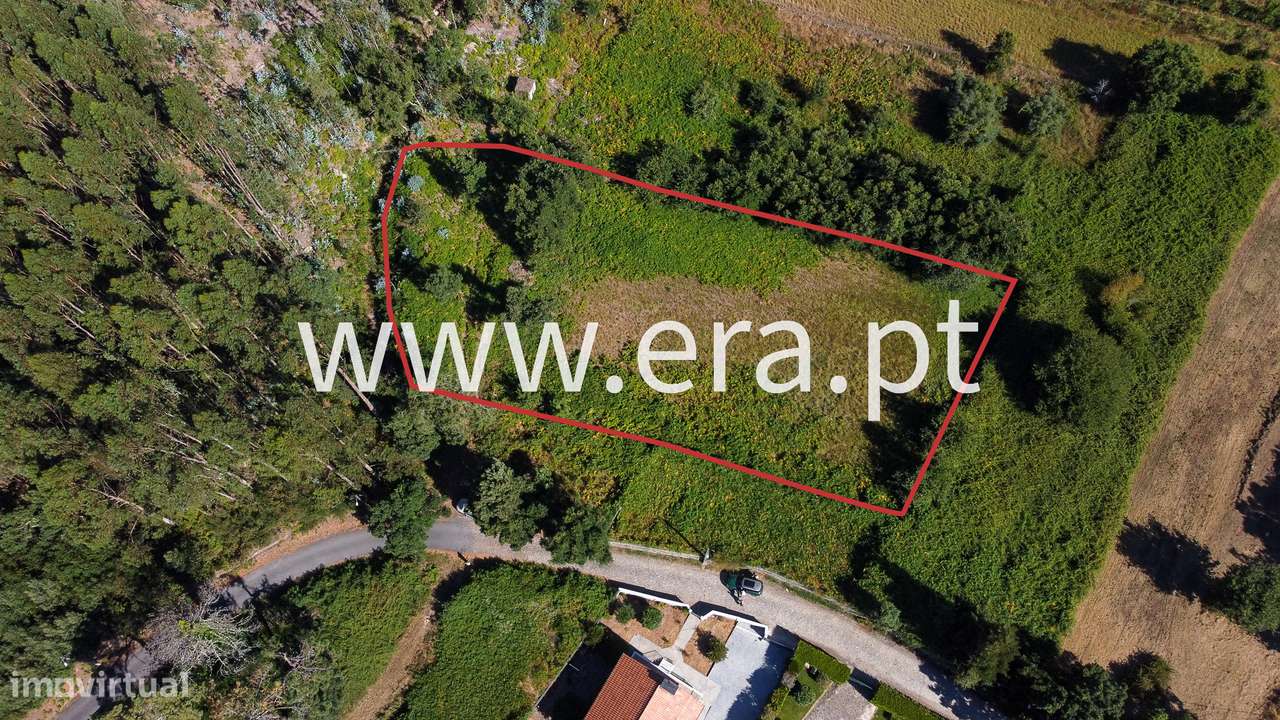 O Seu Futuro Projeto de Agroturismo - Grande imagem: 2/9