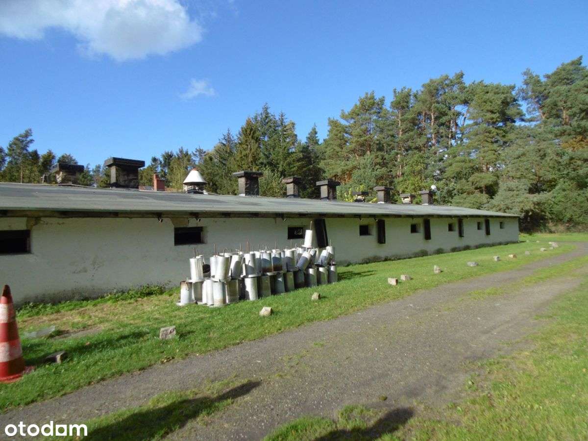 Hala ogrzewana blisko Dk20 - Pełny obrazek: 4/4