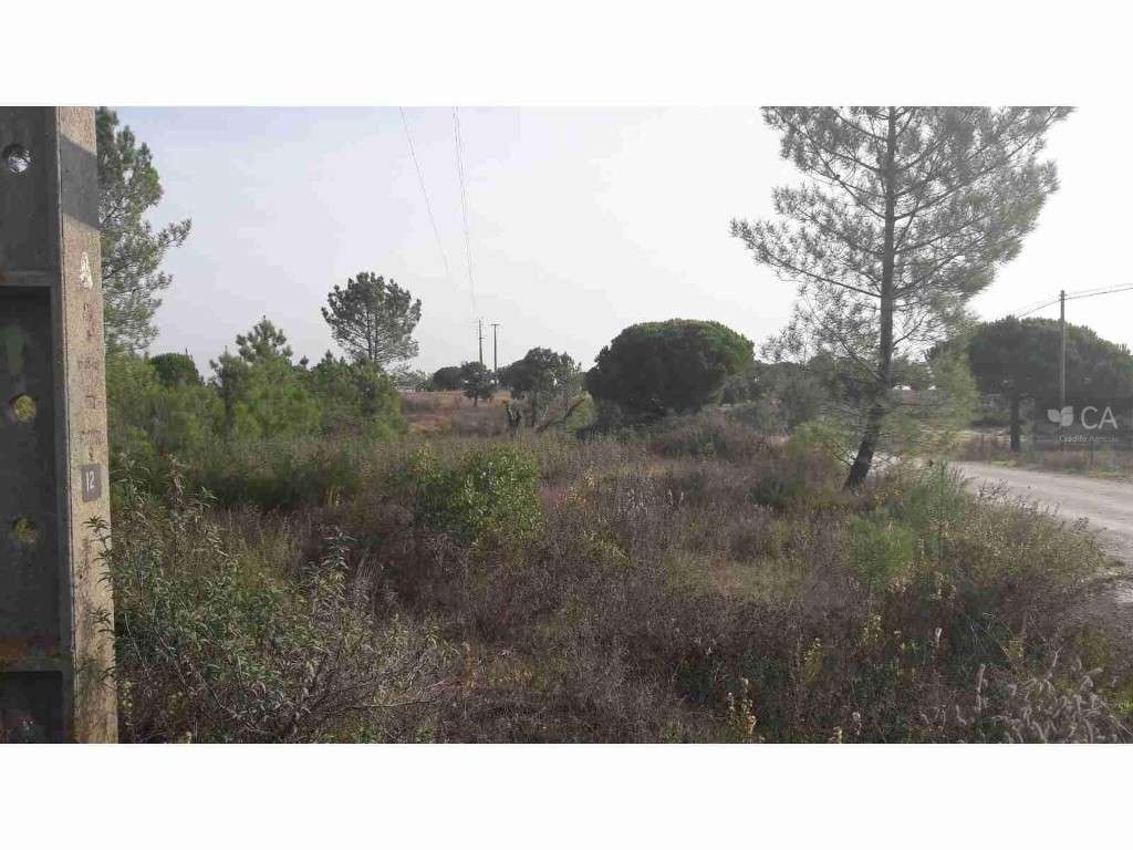 Herdade Rio Frio - Olho Cinzeiro - Grande imagem: 2/4