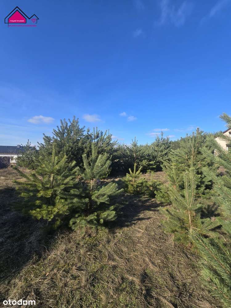 Atrakcyjne działki budowlane przy jeziorze-8