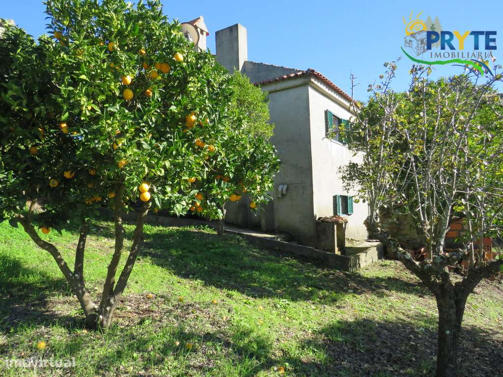 Moradia T5 situada a 10 minutos de Vila de Rei-12
