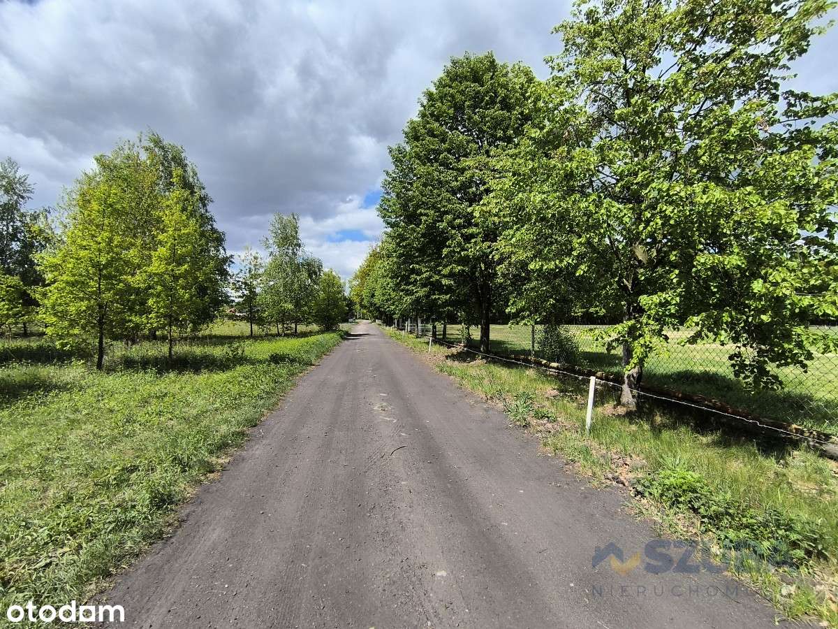 Duża Działka Budowlana w otoczeniu przyrody - Pełny obrazek: 4/16
