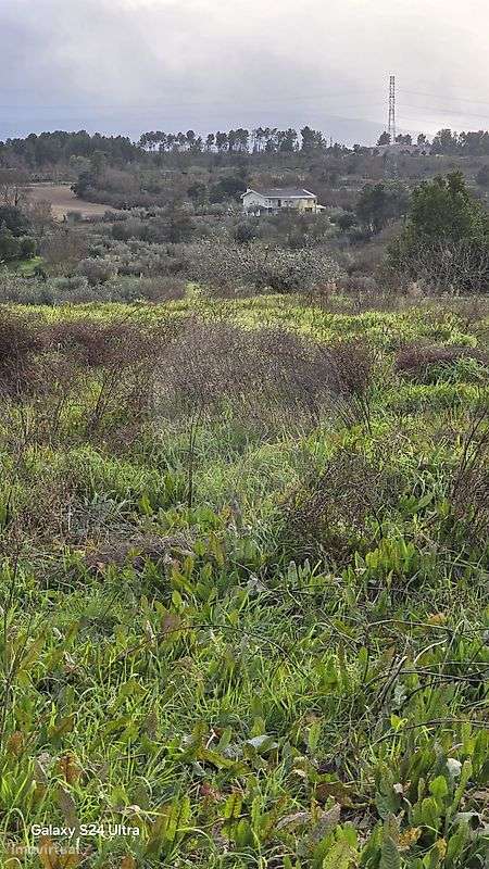 Terreno  para venda - Grande imagem: 4/11