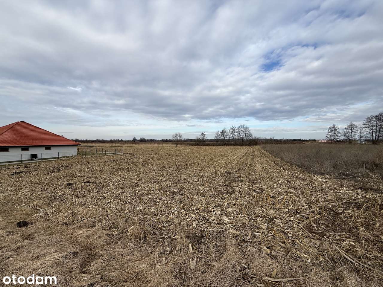 Na sprzedaż atrakcyjne działki budowlane – Nowa Wieś Kącka-5