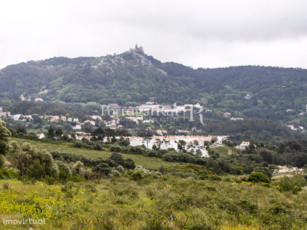 Terreno com cerca de 5.500m2, situada na região de Sintra