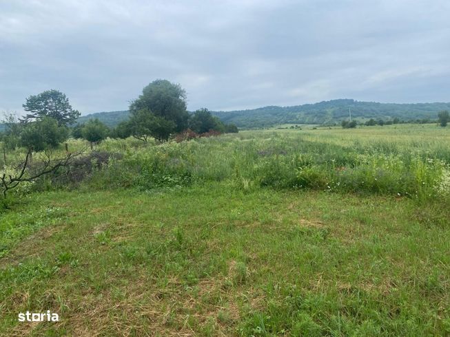 Casa traditionala renovata + anexe si gradina, Telesti, Gorj-7