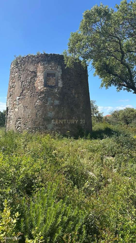 Ruina Moinho - Grande imagem: 2/20