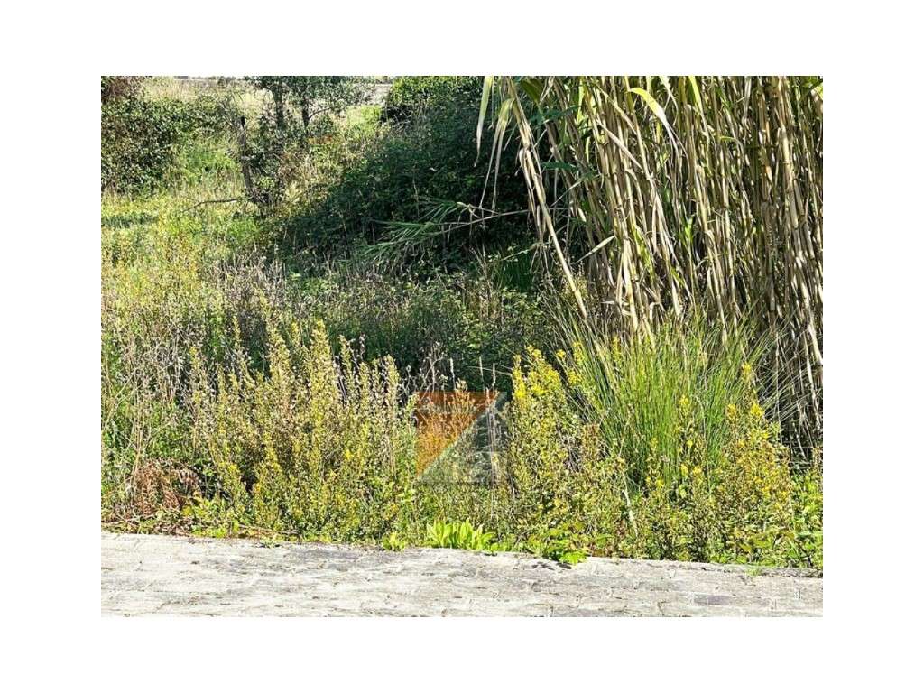 Terreno Barosa Leiria-8