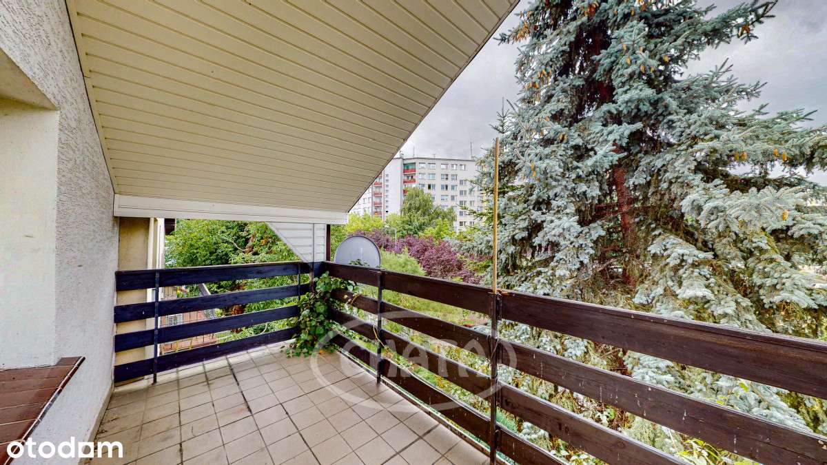 Dom pod dział. gosp. lub kwatery pracownicze - Pełny obrazek: 3/20