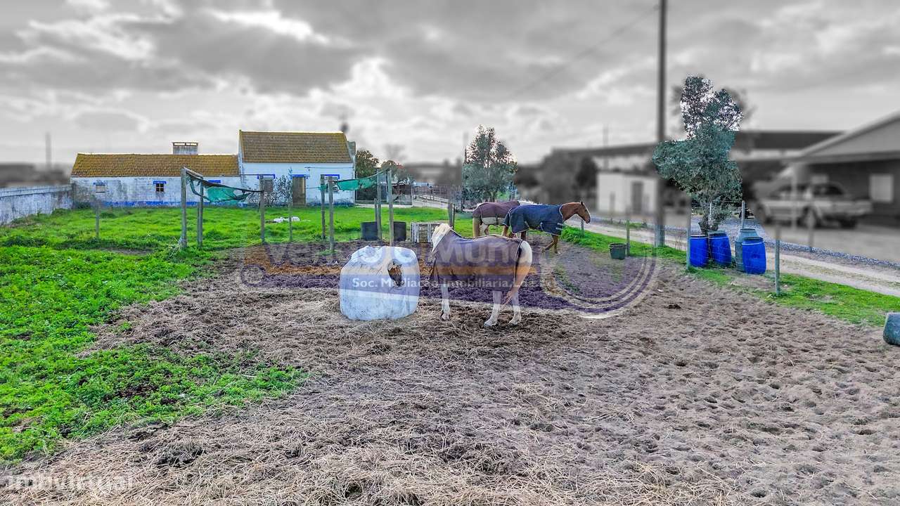 Terreno Industrial com 7.000 m² em Samora Correia (SC1023) - Grande imagem: 4/20