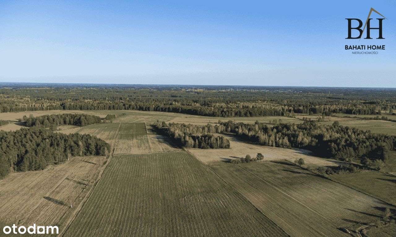 Siedlisko z potencjałem.-12