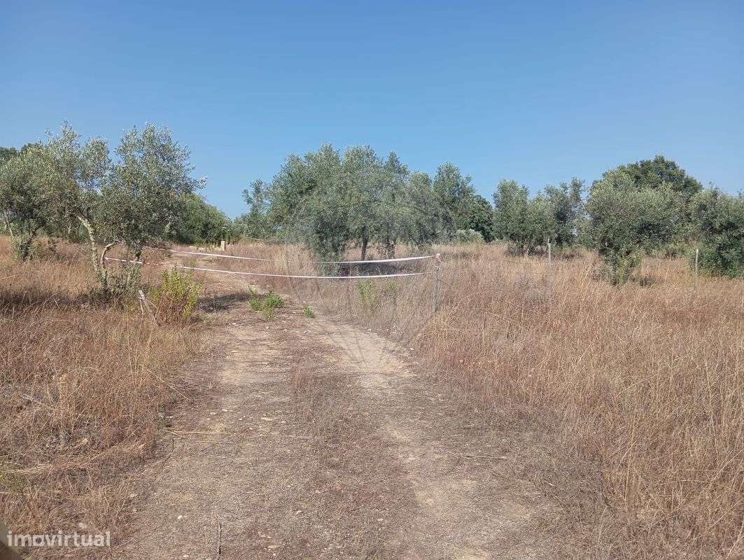 Terreno  para venda - Grande imagem: 3/6