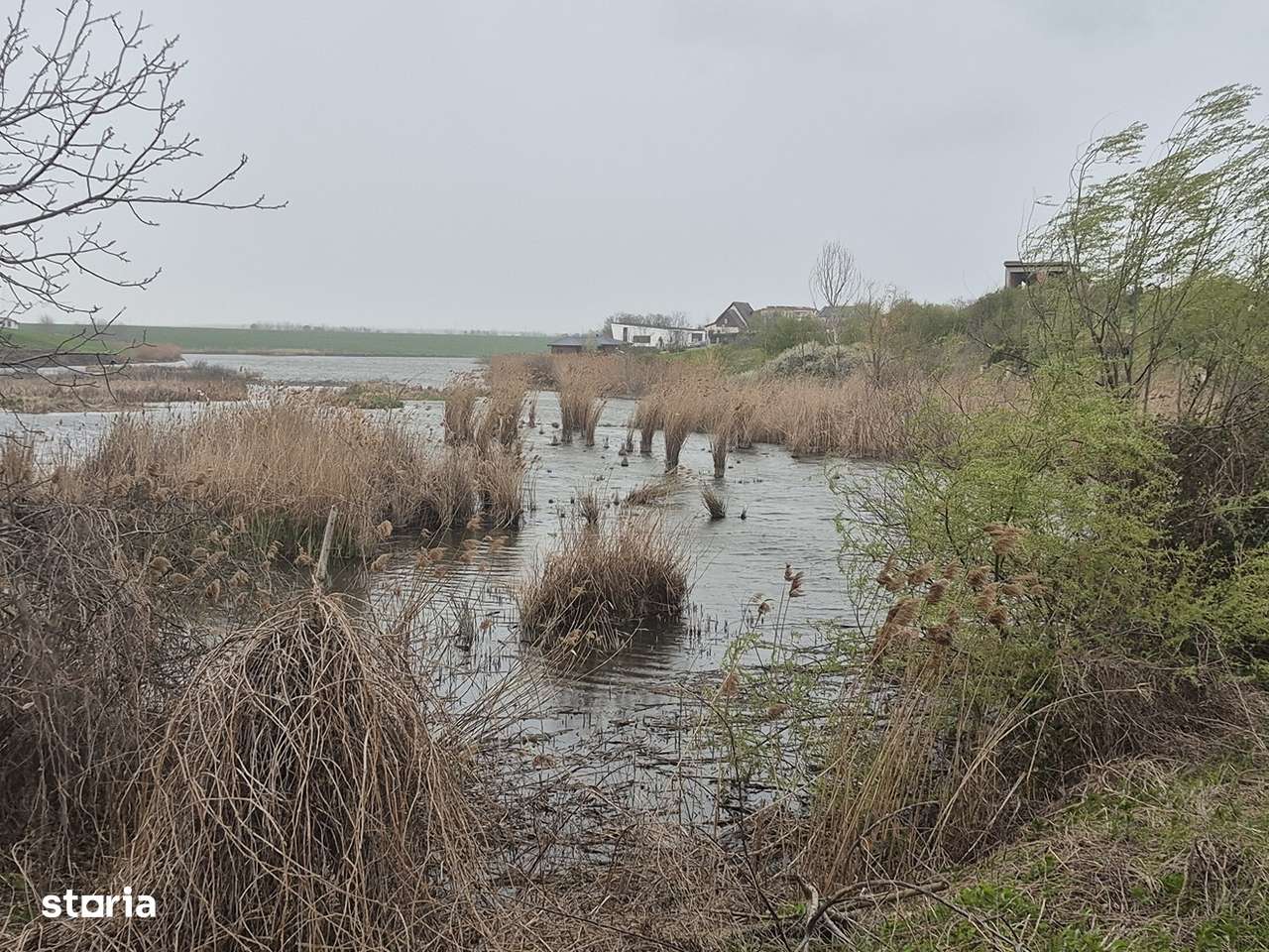 Teren Balotesti,550 mp,langa casa locuita,electricitate ,gaz-11