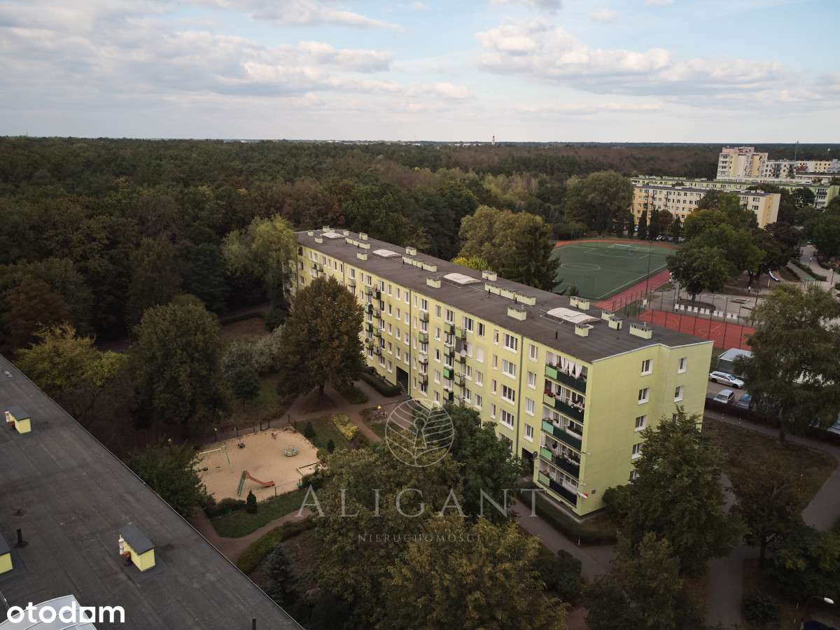 2 pokoje *Świetny układ *Blisko lasu *Do aranżacji-16