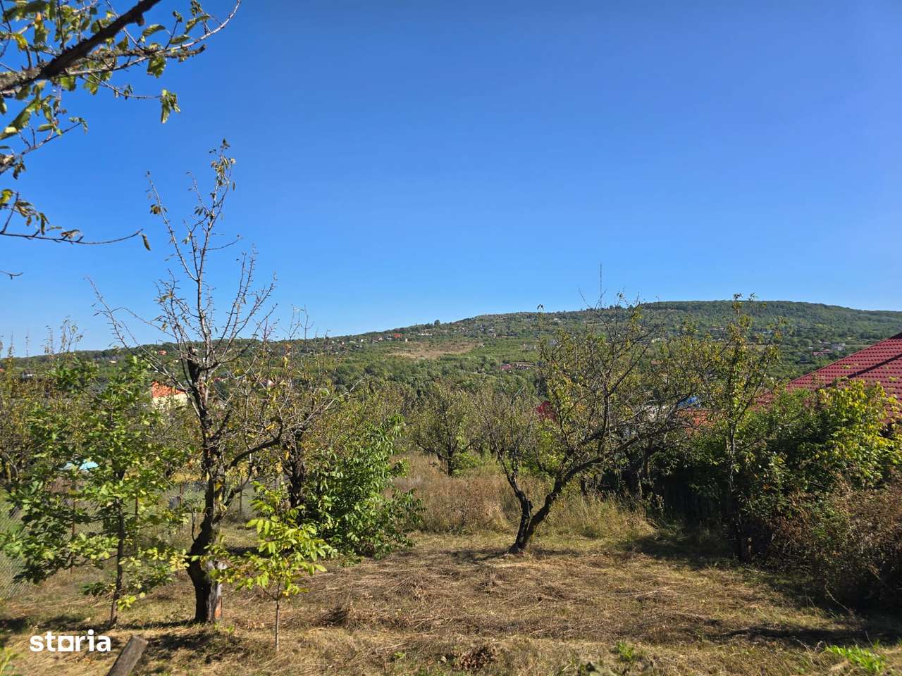 Barnova Str. Culmea Domnitei - Imagine principală: 4/4