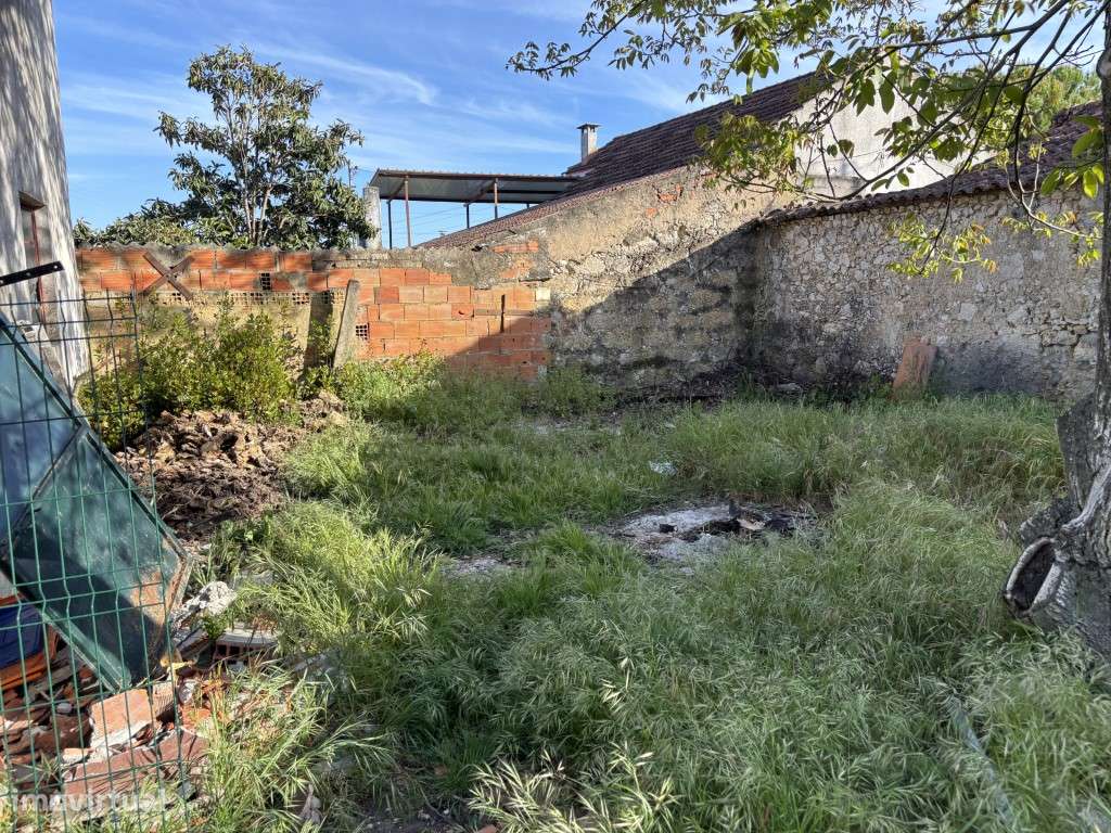 Vendese Quinta com Casa T4, Adega, Lagar e Terreno com Árvores de F...-14