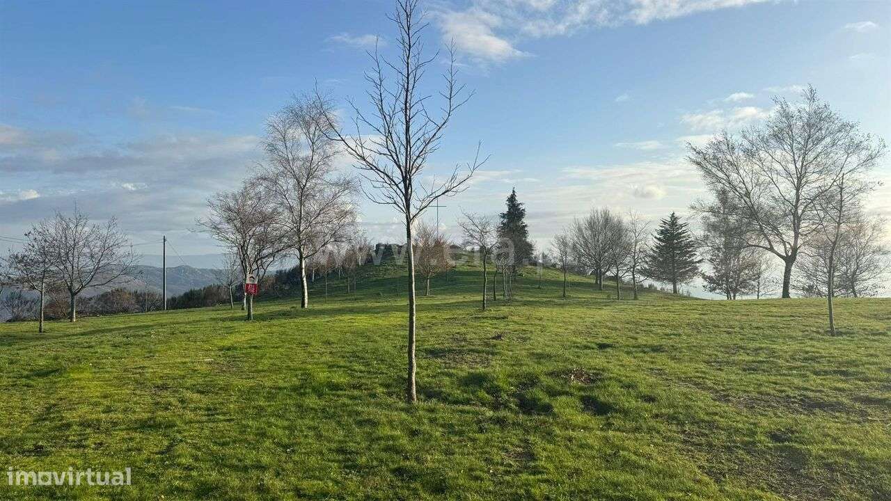 Terreno / Baião, Campelo e Ovil - Grande imagem: 5/7