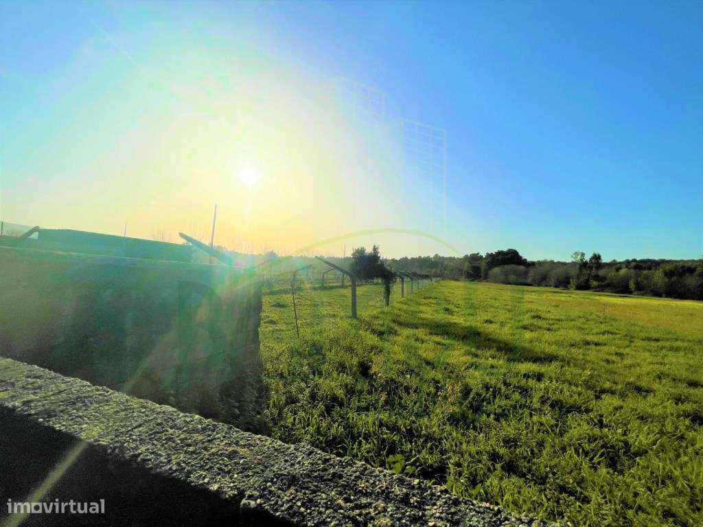 Terreno vedado em Cristelo para Venda - Grande imagem: 5/5