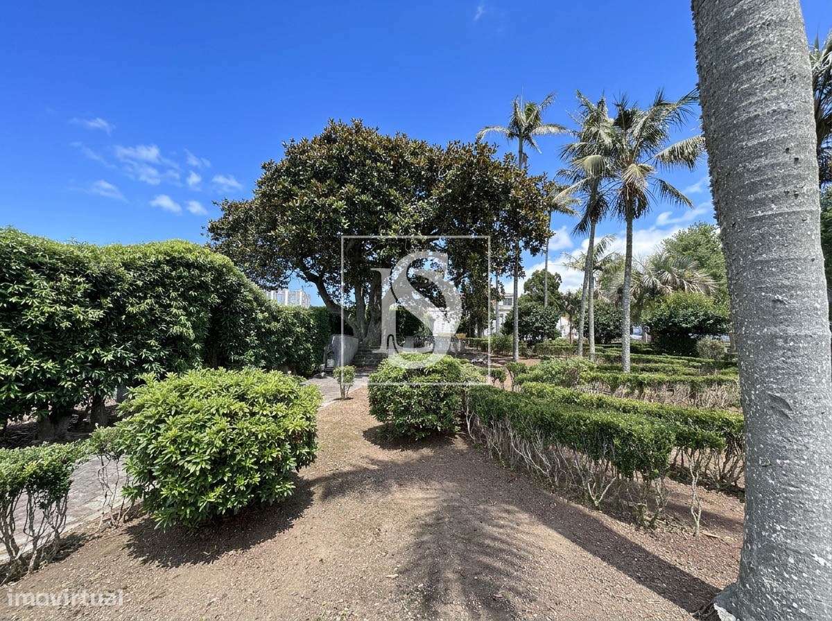 Quinta da Magnólia - Ponta Delgada-11