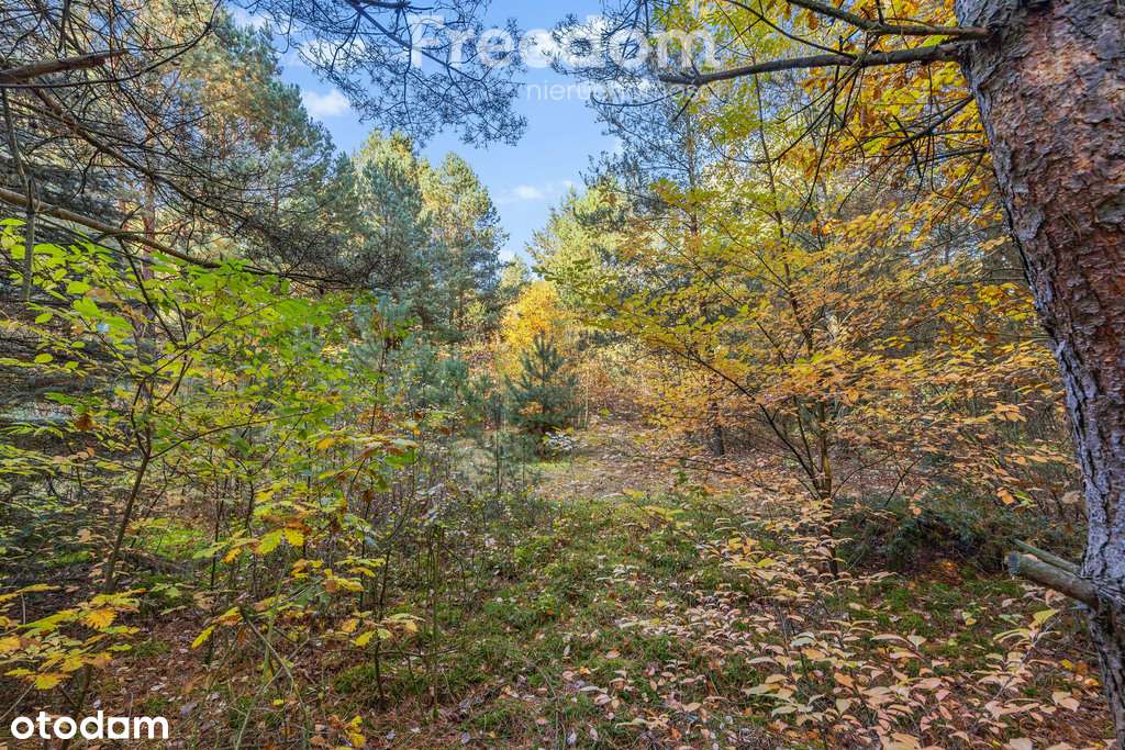 Działka budowlana Serock 1000 m² Zegrze - Pełny obrazek: 5/12