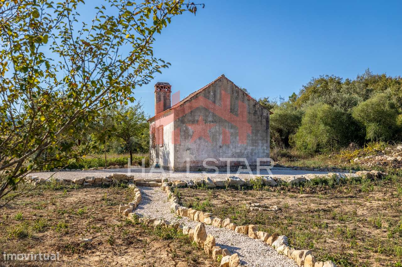 Moradia Rústica / Lote com 1675m2 / Parque Natural das Serras de Aire - Grande imagem: 4/35