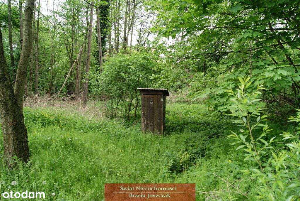 Sprzedaż|Działka 2700 mkw|Natura 2000|Dolnośląskie - Pełny obrazek: 5/11