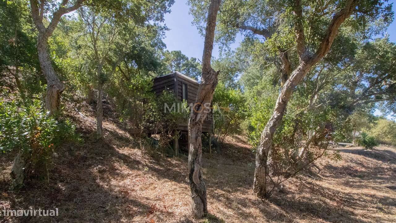 Herdade com 7,1 hectares com Potencial Turístico em Aljezur - Grande imagem: 5/21