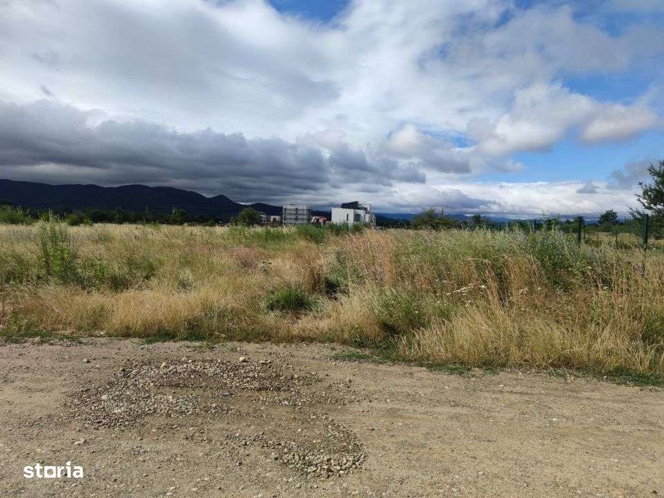 Teren intravilan, 6000mp, Ghimbav - Imagine principală: 5/7