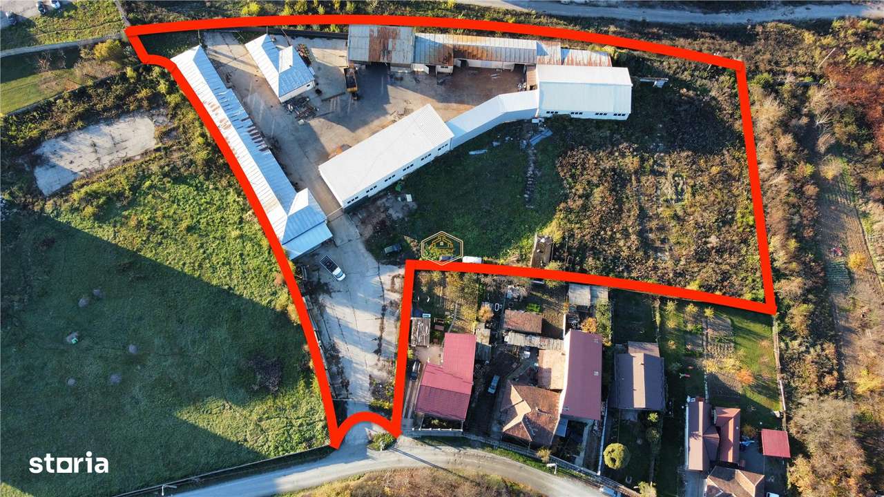 Spatiu Comercial, 1 400 m², -4