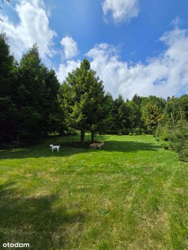 Teren U PodnÓŻa Rycerzowej - 0% Prowizji-8