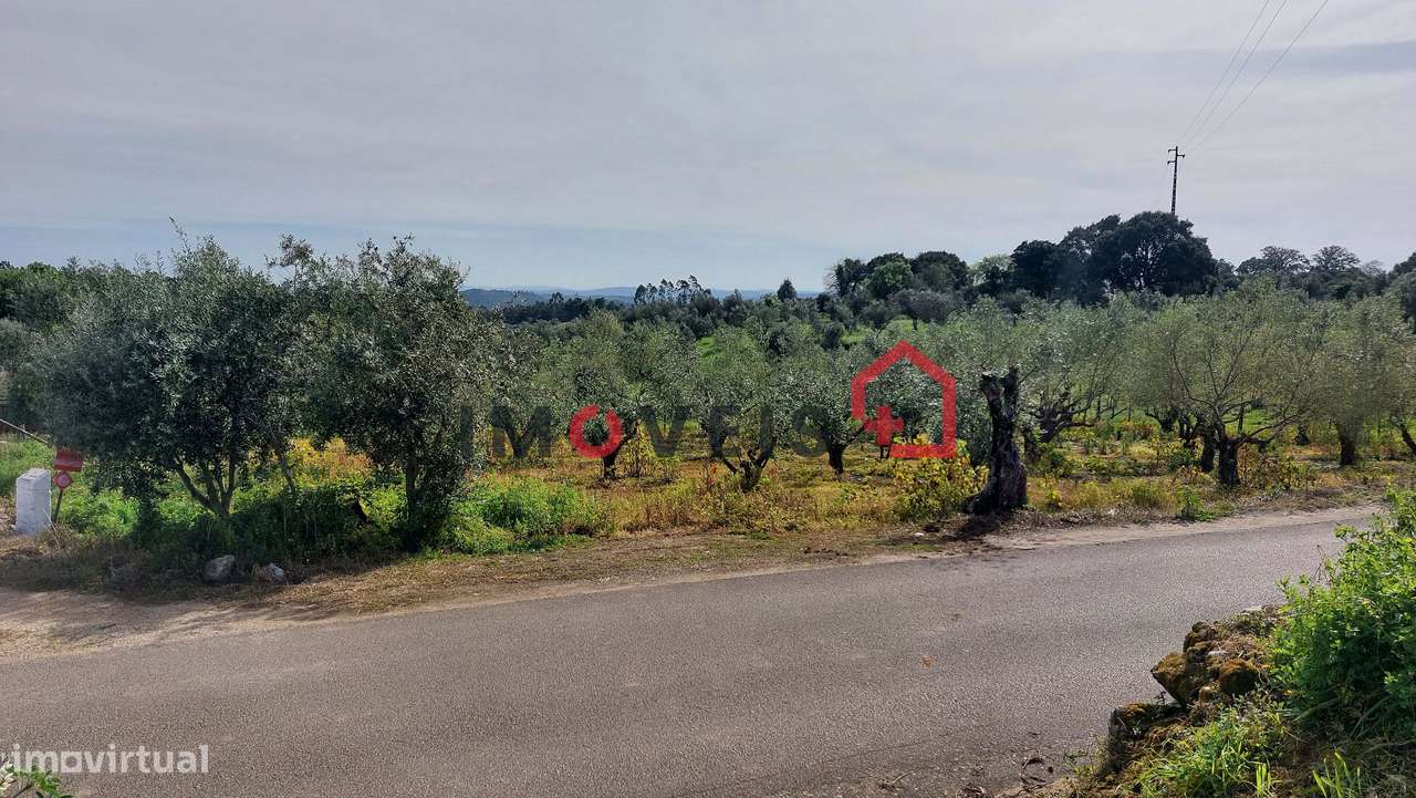 Terreno entre Ourém e Fátima - Grande imagem: 4/7