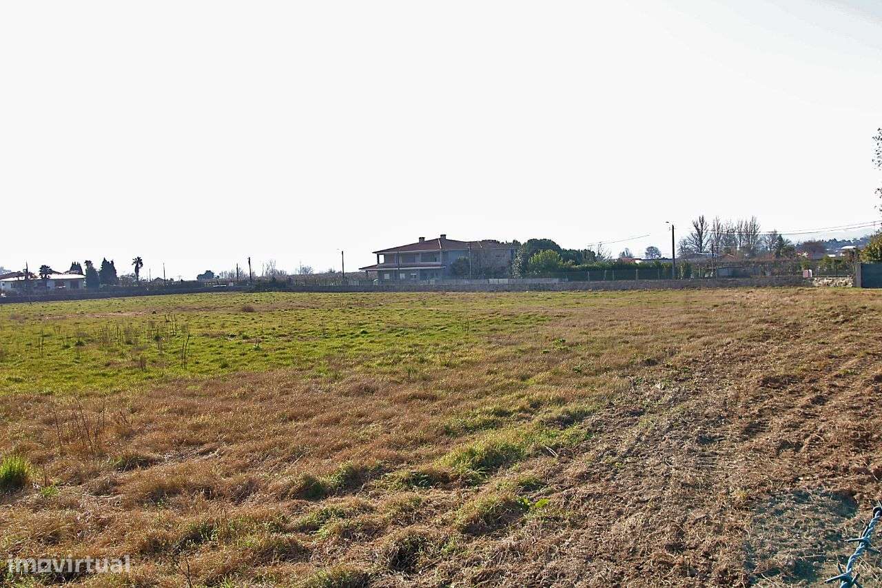 Terreno na Lama - Grande imagem: 4/10