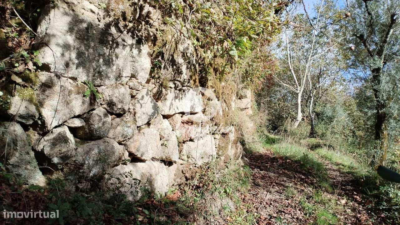 Terreno para Venda no Parque Natural do Gerês - Ideal para Plantaçã... - Grande imagem: 4/9