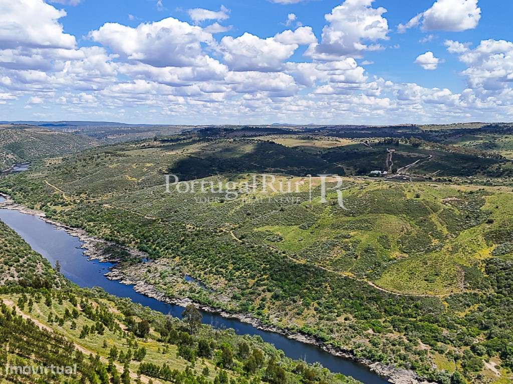Herdade com 195 ha e 1.900 m2 de área urbana à beira do Tejo - Beir... - Grande imagem: 5/29