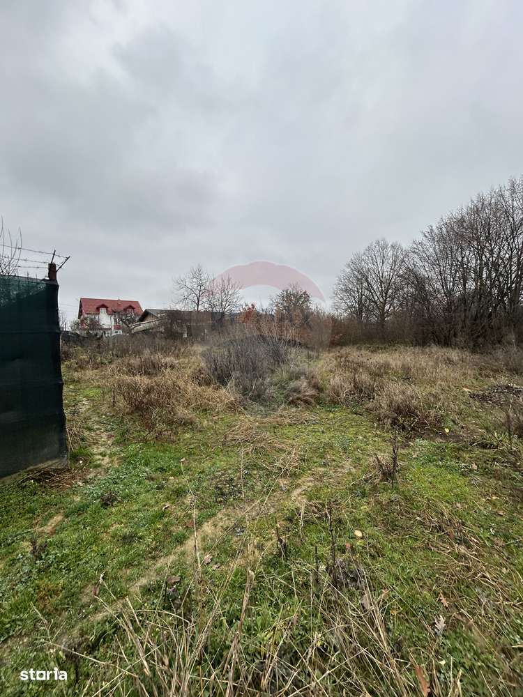 Teren 1,200mp si 400m2 cota drum Satu Nou de Jos / Strada Principala-3