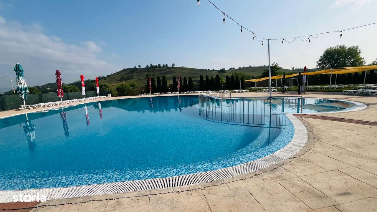 Piscina Cu Bar, Terasa Si Bucatarie, De Vanzare In Sebes, Jud Alba-15