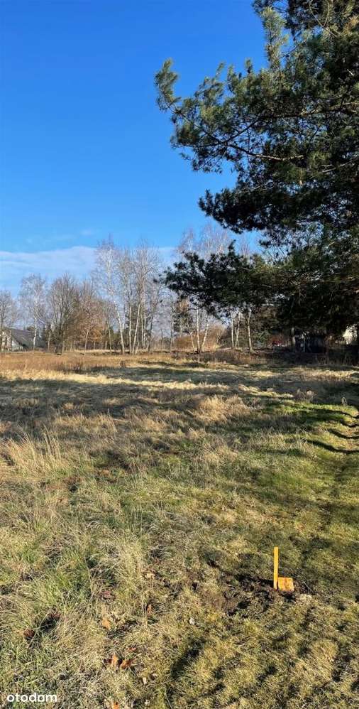 Idealna działka w sercu Zebrzydowic - Pełny obrazek: 3/3