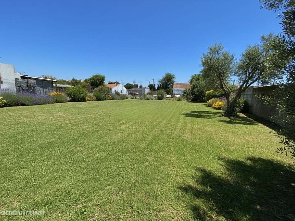 ARMAZÉM (Lote c/ 900 m²)-19