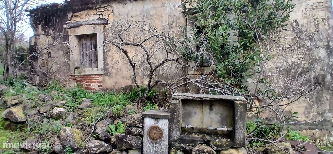 Casa de habitação mais armazem em ruínas, concelho de Torres Novas - Grande imagem: 2/17