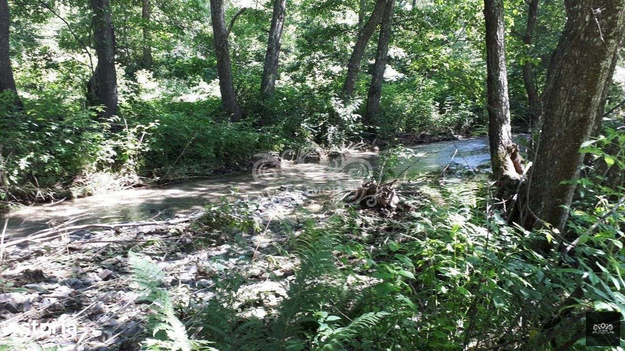 Vand teren si padure conifere in Albestii de Muscel. - Imagine principală: 4/7