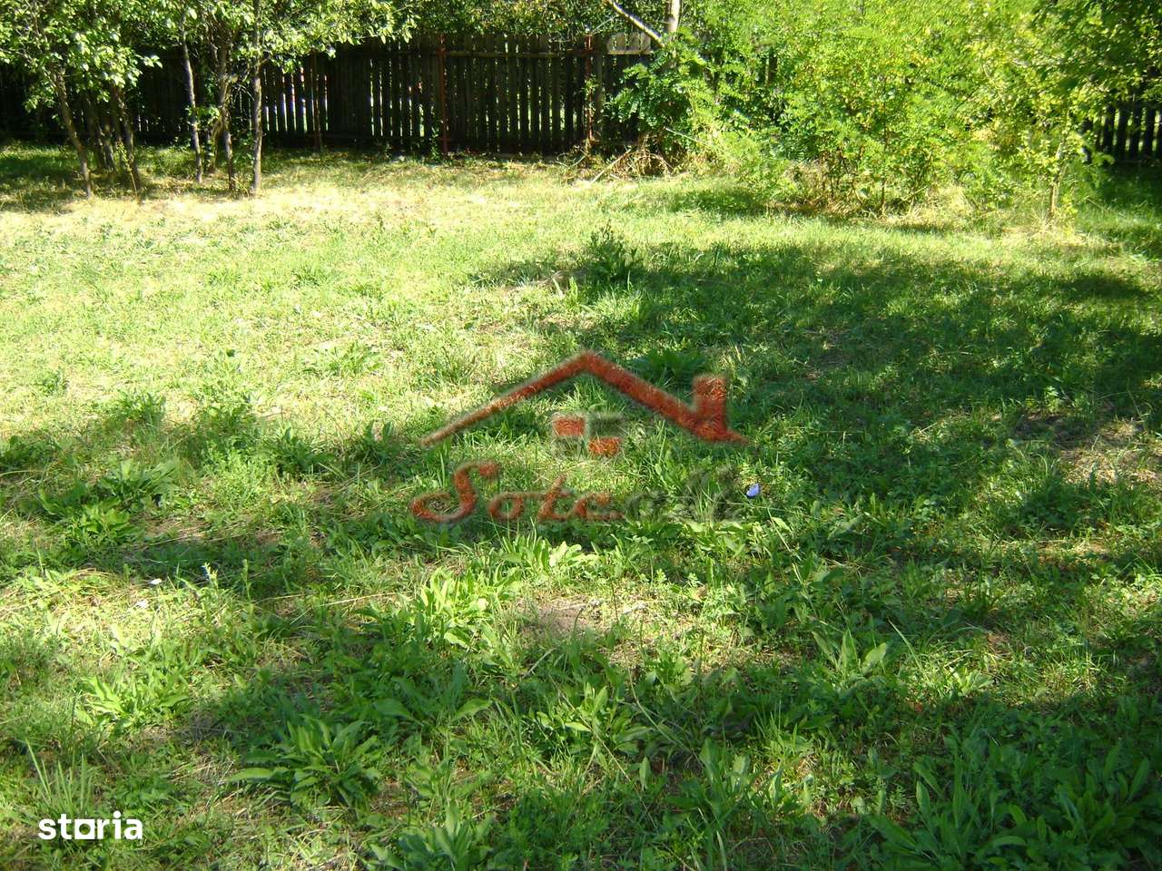 Teren  de vanzare Cornu 1919 mp-3