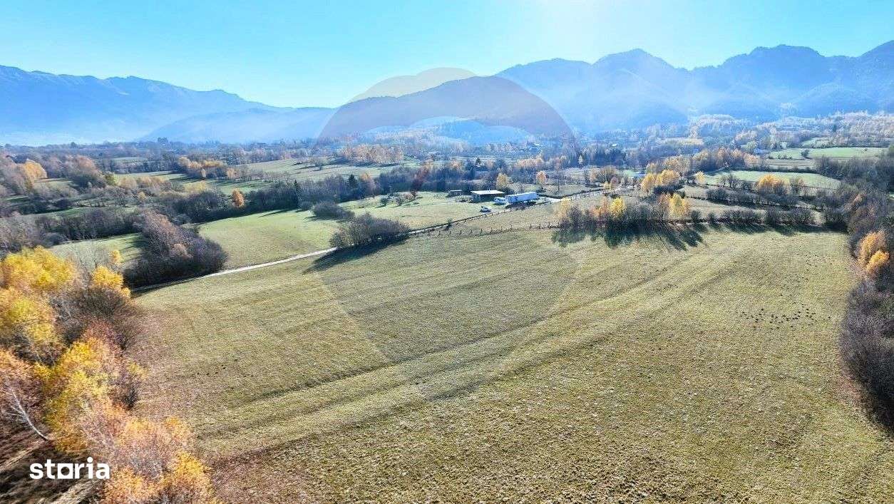 Comision 0% | 2 parcele x 650 mp | Priveliste Bucegi,Magura,P Craiului - Imagine principală: 4/6