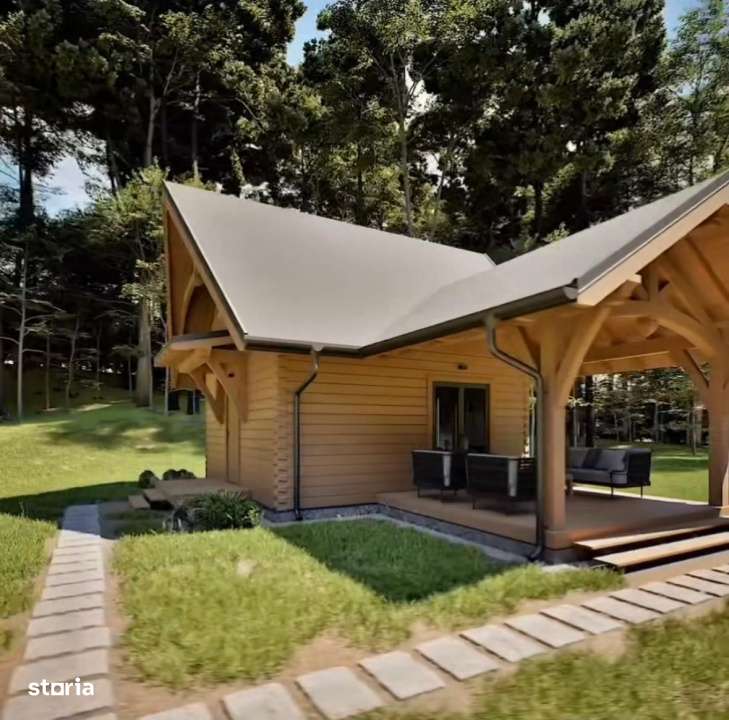 Casa / Cabana de vanzare Daia Noua la stadiul de Proiect-1