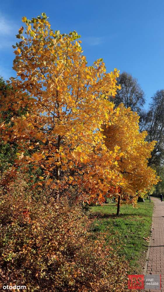 Mieszkanie 3-pokojowe przy parku Kępa Potocka-17