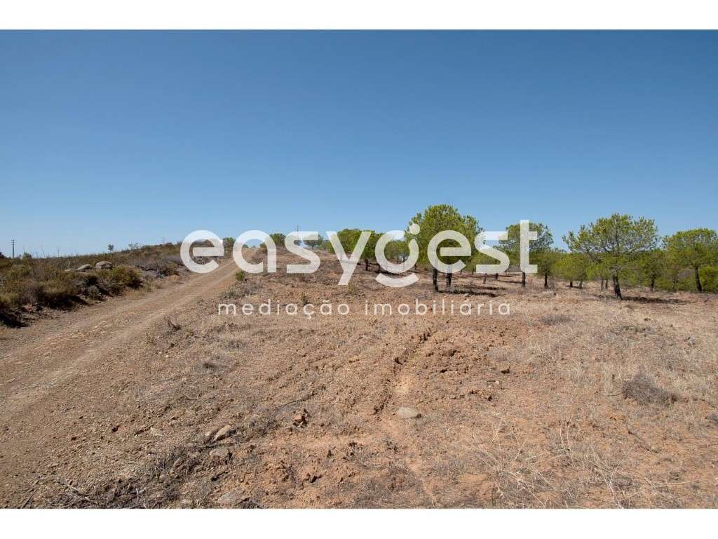 Terreno Rústico Pego do Junqueiro, Azinhal Concelho Castro Marim - Grande imagem: 4/13