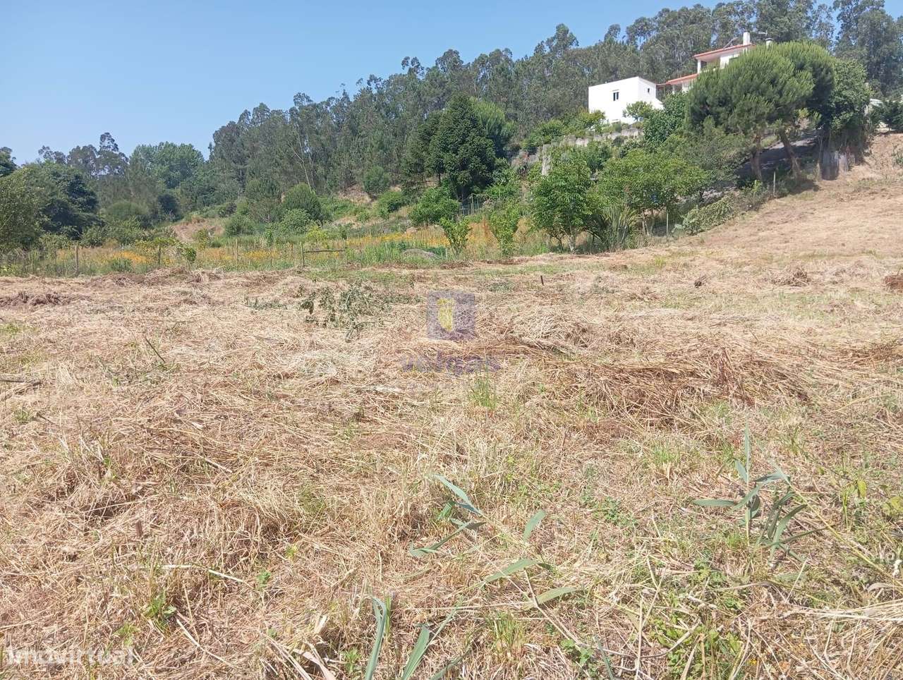 Terreno com 1.500m2 e com possibilidade de construção de 114m2 de impl - Grande imagem: 3/8