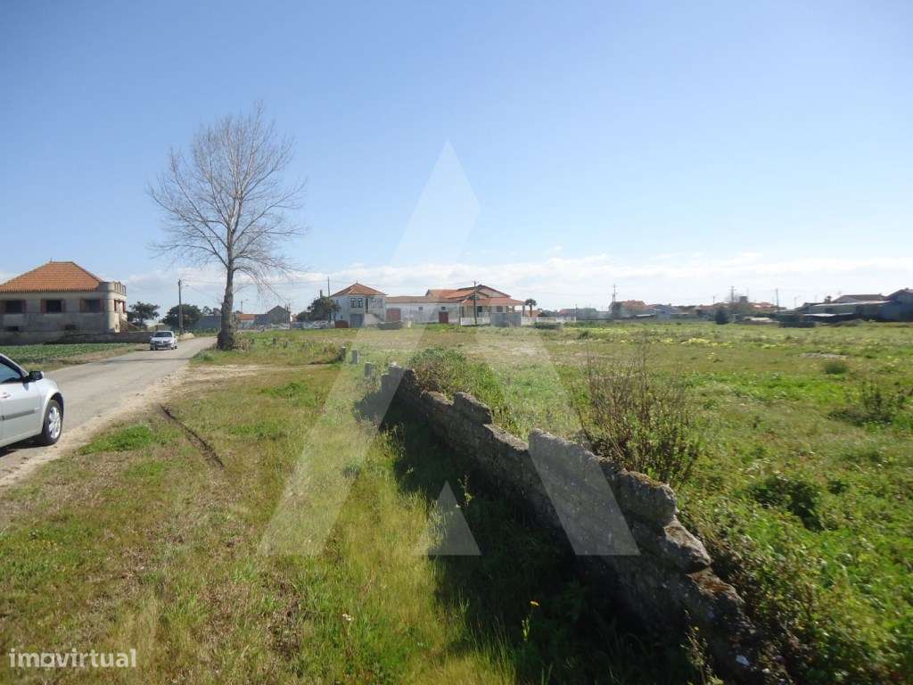 Terreno para construção de 11 moradias nas Quintãs, Aradas - Grande imagem: 3/8